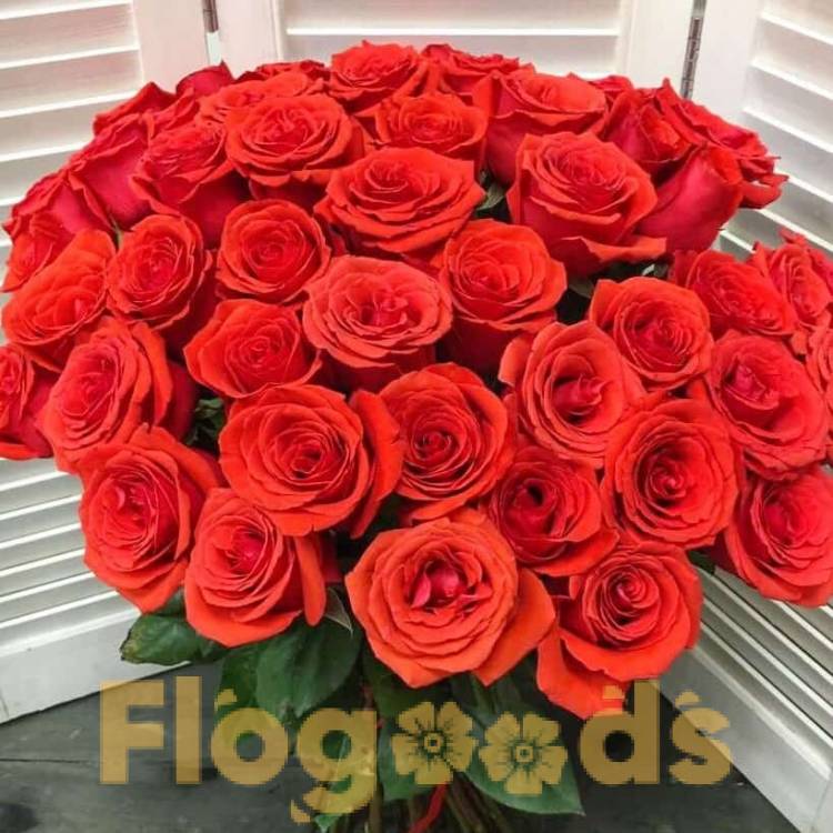 51 красная роза за 19 573 руб.